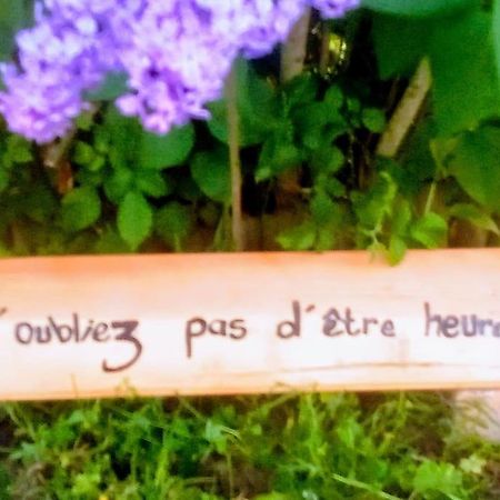 Agreable Chalet En Bois Et Son Exterieur Massay Bagian luar foto